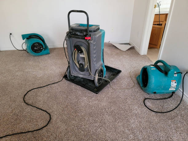 Best Water damage restoration near me  in Brandon, MS