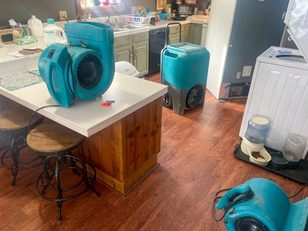 Best Ceiling water damage repair  in Brandon, MS