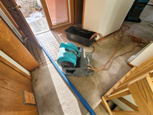 Best Water damage restoration services  in Brandon, MS