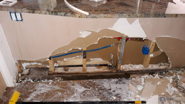 Best Flood restoration services  in Brandon, MS
