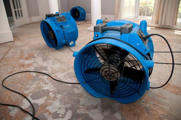 Professional Water damage restoration in MS
