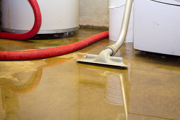 Best Professional water damage repair  in Brandon, MS