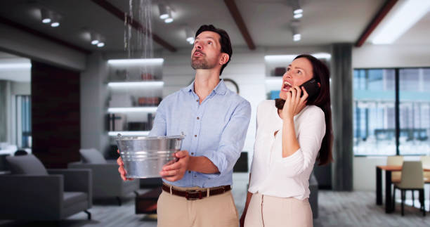 Best Fire Damage Restoration  in Brandon, MS